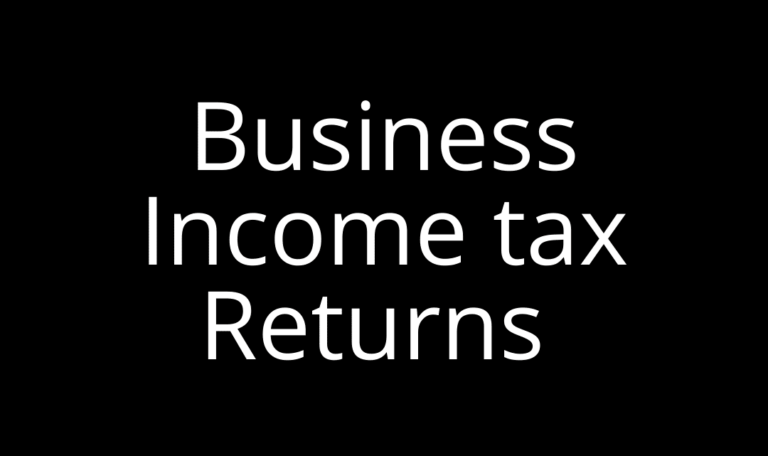Business Income tax Returns