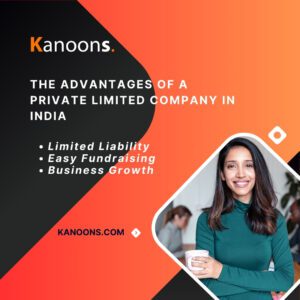 The Advantages of a Private Limited Company in India